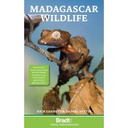 Madagascar Wildlife Bradt